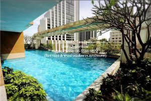 ให้เช่าคอนโด สิริ เรสซิเด้นซ์ สุขุมวิท 24 (SIRI Residences Sukhumvit 24) BTS พร้อมพงษ์ ชั้น 23 60.18 ตร.ม. 1 น 1 น้ำ ราคา 40,000 บาท ภาพที่ 3
