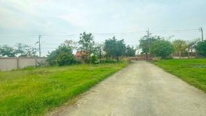 ตำรวจนครบาลลำหิน 1.5กม เช่าที่ดิน หนองจอก โรงงาน ออฟฟิศ ติดถนนใหญ่ 2 ไร่ 30ตร.วา.ม.เทคโนโลยีมหานคร 6.5 กม มีรั้ว 4นอน ตลาดลำไทรคลอง12 3กม. ภาพที่ 6
