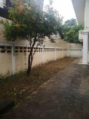 PS27 ให้เช่าบ้านเดี่ยว รามคำแหง เลี้ยงหมาและแมวได้ เหมาะทำธุรกิจ ภาพที่ 7