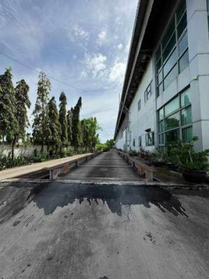 ให้เช่าโกดัง-พร้อมออฟฟิศ ติดถนนกิ่งแก้ว 25/1 ใกล้สนามบินสุวรรณภูมิ มี 2 โกดัง 860 ตรม และ 2,525 ตรม. ห้องน้ำพนักงาน แยก ภาพที่ 4