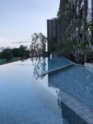 RR002 คอนโด  Quintara Phume Sukhumvit 39 ห้อง38 ตรม 1 นอน 1 น้ำ ภาพที่ 7