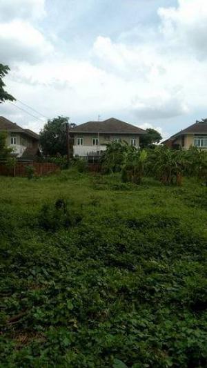 ขายที่ดิน 125 ตร.ว ย่านนวมินทร์ ลาดพร้าว101 โยธินพัฒนา ซอยโพธิ์แก้ว3 
