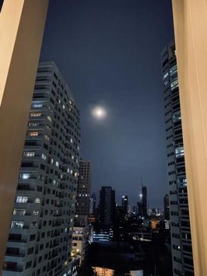 R64091009 ให้เช่า 2ห้องนอน 1ห้องน้ำ Park 24 อาคาร 2 ทิศตะวันออก 40,000 บาท ภาพที่ 7