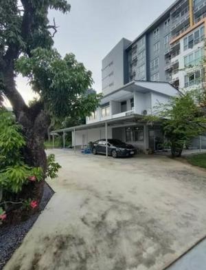 ให้เช่าบ้านเดี่ยว2ชั้น  สุขุมวิท 63 ซอยเอกมัย 22  250ตรว ภาพที่ 3