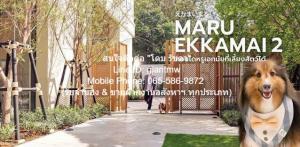 ให้เช่าคอนโดหรู (เลี้ยงสัตว์ได้) มารุ เอกมัย 2 (MARU Ekkamai 2) ชั้น 19, 55 ตร.ม. 2 น 2 น้ำ 1 จอดรถ, 60,000 บาท/เดือน