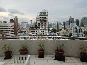 condo ศุภาลัย เพลส 142ตร.-ม. 2นอน1Bathroom 45200 บาท. Special Stock ภาพที่ 8