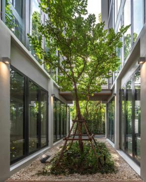 Home Office Stand Alone Sukhumvit 62 เพียง 450 m from BTSบางจาก  ภาพที่ 2