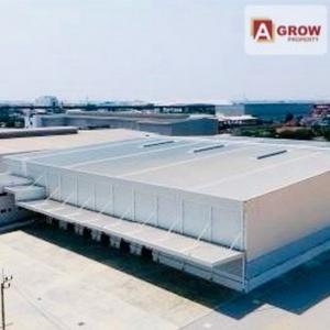 โรงงานให้เช่า พื้นที่สีม่วง สมุทรปราการ (เสร็จพร้อมใช้ 1 Nov2025)
