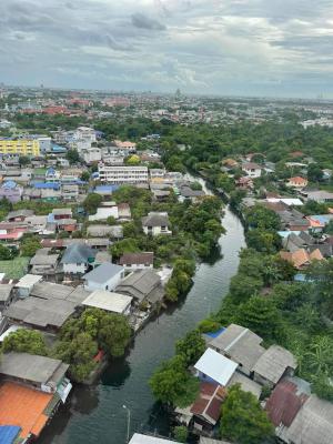  ภาพที่ 8