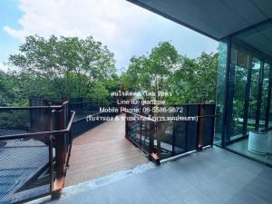 คอนโดฯ IDEO New Rama 9 ไอดีโอ พระราม 9 - ตัดใหม่ 26 ตร.ม. 1 Bedroom 12000 BAHT.   ทำเลน่าอยู่ กรุงเทพ ภาพที่ 4