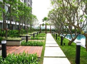 เช่า RR110 Ideo Ladprao 5 ห้องสวยพร้อมอยู่ เฟอร์นิเจอร์ครบครัน  ภาพที่ 6
